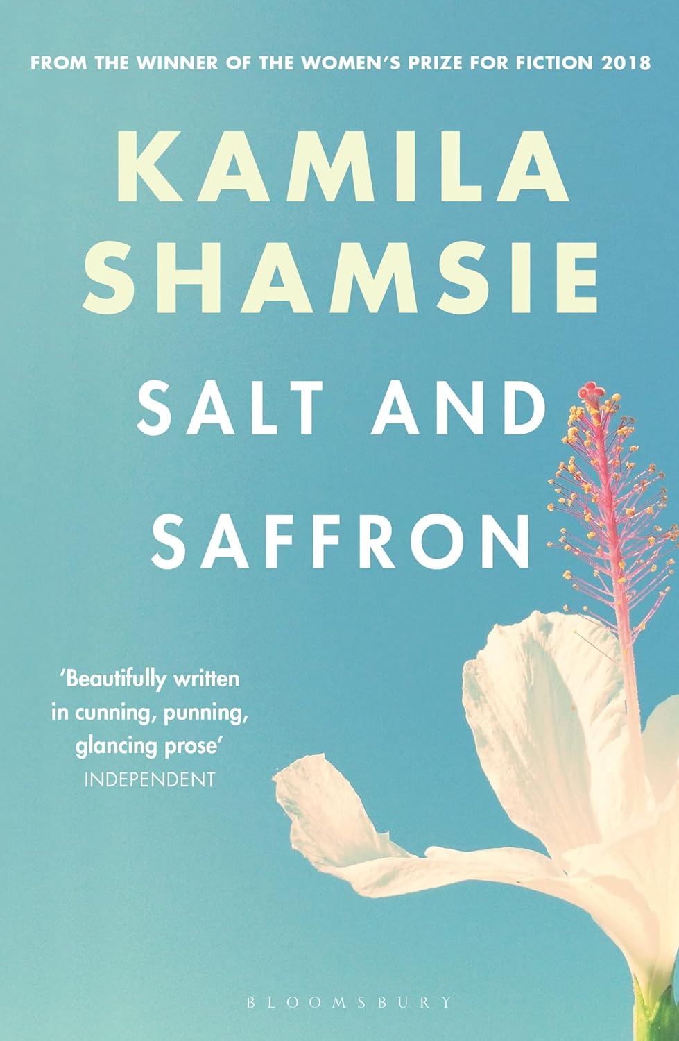 Salt and Saffron by Kamila Shamsie