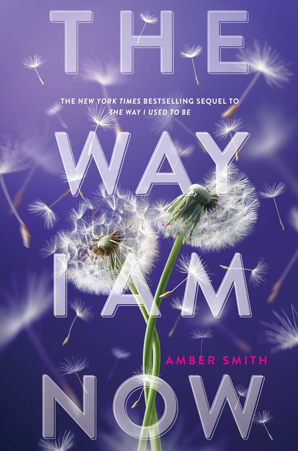 The Way I Am Now (The Way I Used to Be, #2) by Amber Smith (Print On Demand)