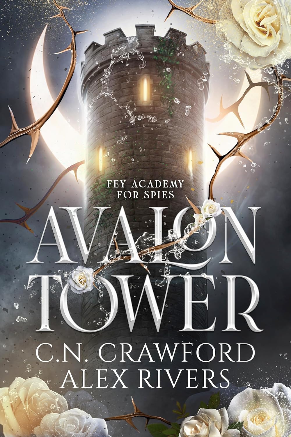 Avalon Tower (Fey Academy for Spies, #1) by C.N. Crawford
