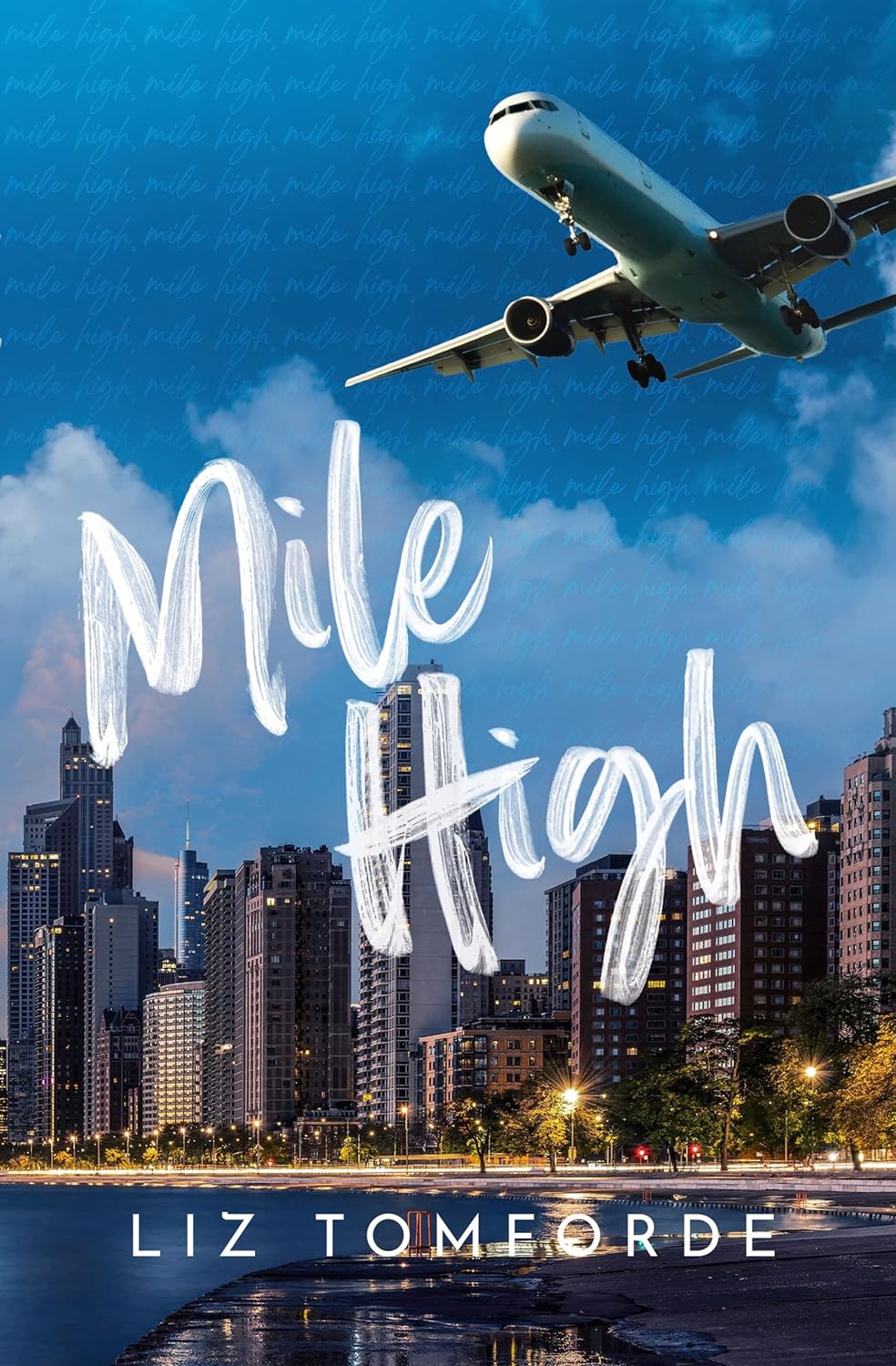Mile High (Windy City, #1) by Liz Tomforde
