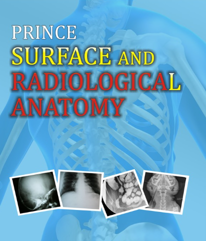 Surface and Radiological Anatomy