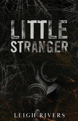 Little Stranger (The Web of Silence Duet, #1) by Leigh Rivers